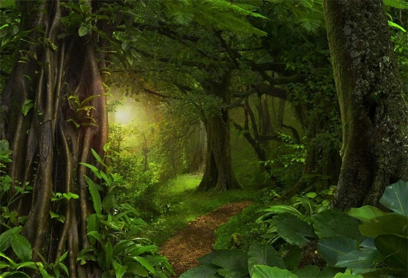 LFEEY 9x6ft Fairytale Rainforest Photo Backdrop Kids Birthday Party Events Decor Evergreen Forest Jungle Natural Scenery Photography Background Cloth Photo Studio Props - Image 1